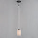 Deven 1-Light Mini Pendant