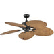 Hinkley - Tropic Air 52" Fan - Lights Canada