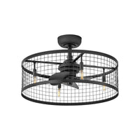 Finnigan 24" LED Fandelier