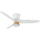 Hinkley - Neo 52" LED Fan - Lights Canada