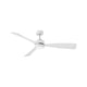 Iver 56" LED Fan