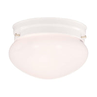 Flush Mount