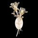 Fine Art Handcrafted Lighting - Azu Sconce - Lights Canada
