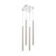Z-Lite - Forest Linear Suspension - Lights Canada
