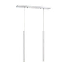 Z-Lite - Forest Linear Suspension - Lights Canada