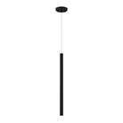 Z-Lite - Forest Mini Pendant - Lights Canada