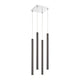 Z-Lite - Forest Linear Suspension - Lights Canada