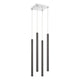 Z-Lite - Forest Linear Suspension - Lights Canada