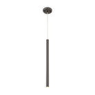 Z-Lite - Forest Mini Pendant - Lights Canada