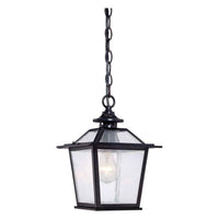 Salem Outdoor Pendant