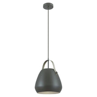 Bendall Pendant