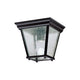 Kichler - Outdoor Ceiling Light - Lights Canada