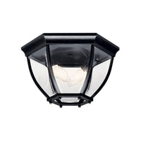 Outdoor Ceiling Light