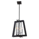 Artcraft Lighting - Carlton Chandelier - Lights Canada