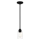 Quoizel - Acacia Mini Pendant - Lights Canada
