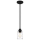 Quoizel - Acacia Mini Pendant - Lights Canada
