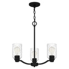 Quoizel - Acacia Chandelier - Lights Canada