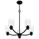 Quoizel - Acacia Chandelier - Lights Canada
