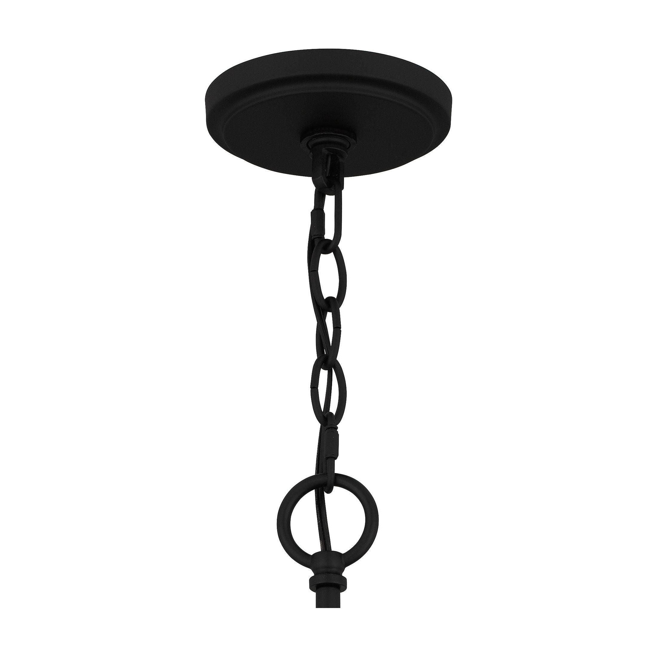 Quoizel - Acacia Chandelier - Lights Canada
