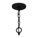 Quoizel - Acacia Chandelier - Lights Canada