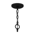 Quoizel - Acacia Chandelier - Lights Canada