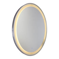 Reflections Lighted Mirror