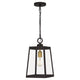 Quoizel - Amberly Grove Mini Pendant - Lights Canada