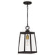 Quoizel - Amberly Grove Outdoor Pendant - Lights Canada