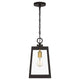 Quoizel - Amberly Grove Outdoor Pendant - Lights Canada
