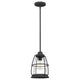 Quoizel - Admiral Mini Pendant - Lights Canada