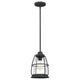 Quoizel - Admiral Mini Pendant - Lights Canada