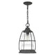 Quoizel - Admiral Mini Pendant - Lights Canada