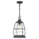 Quoizel - Admiral Mini Pendant - Lights Canada