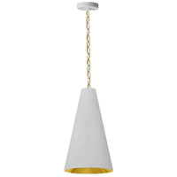 Anaya 1 Light 12 Inch Pendant