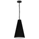 Dainolite - Anaya 1 Light 12 Inch Pendant - Lights Canada