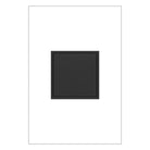 Legrand - 20A 1-Gang Pop-Out Outlet - Lights Canada