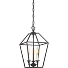 Quoizel - Aviary Pendant - Lights Canada