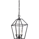Quoizel - Aviary Pendant - Lights Canada