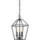 Quoizel - Aviary Pendant - Lights Canada