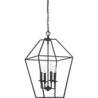 Quoizel - Aviary Pendant - Lights Canada