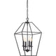 Quoizel - Aviary Pendant - Lights Canada