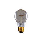 Canarm - Canarm Edison Bulb - Lights Canada