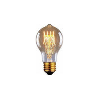 Canarm Edison Bulb
