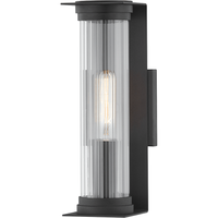 Presley 1-Light Small Outdoor Wall Light