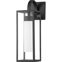 Pax 1-Light Medium Outdoor Wall Light