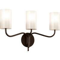 Juniper Vanity Light