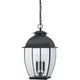 Quoizel - Bain Outdoor Pendant - Lights Canada