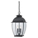 Quoizel - Bain Outdoor Pendant - Lights Canada