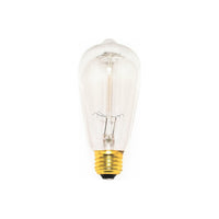 40W Incandescent E26 ST58 120V CL Bulb