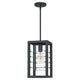 Quoizel - Bimini Outdoor Pendant - Lights Canada